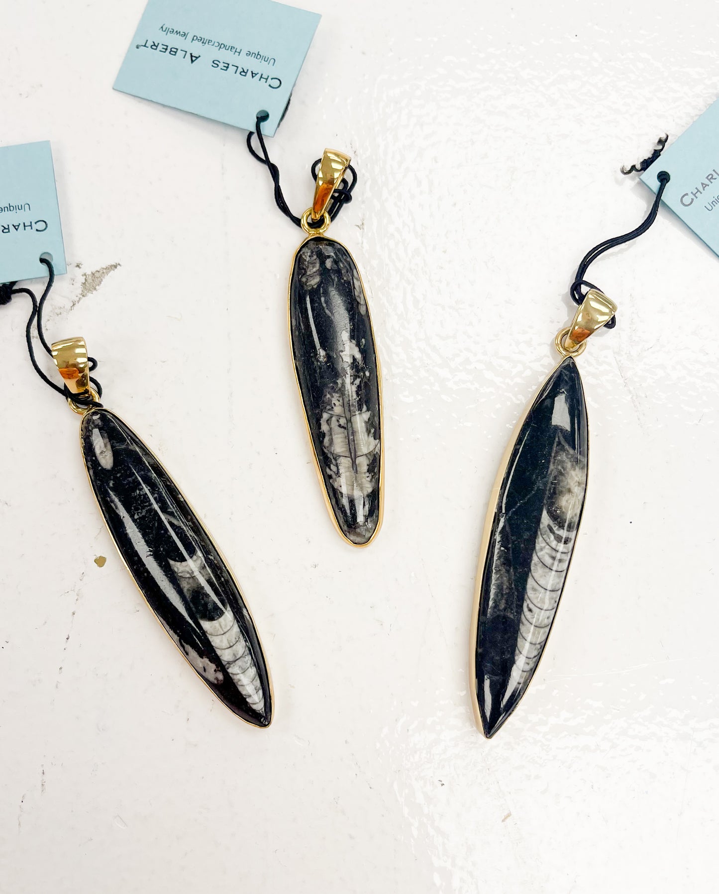 Orthoceras pendant