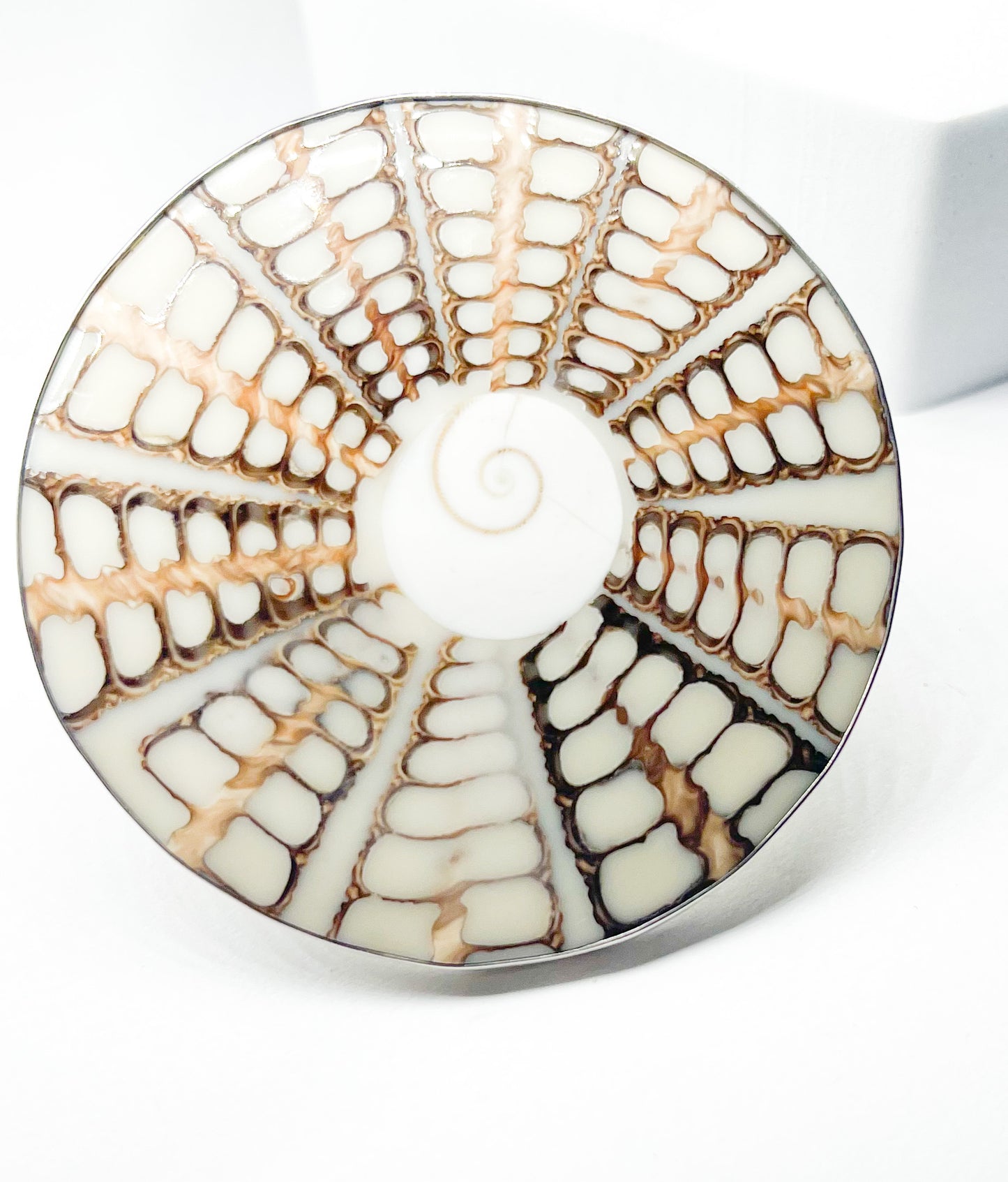 Jumbo Spiral Shell Ring - Solid Sterling Silver