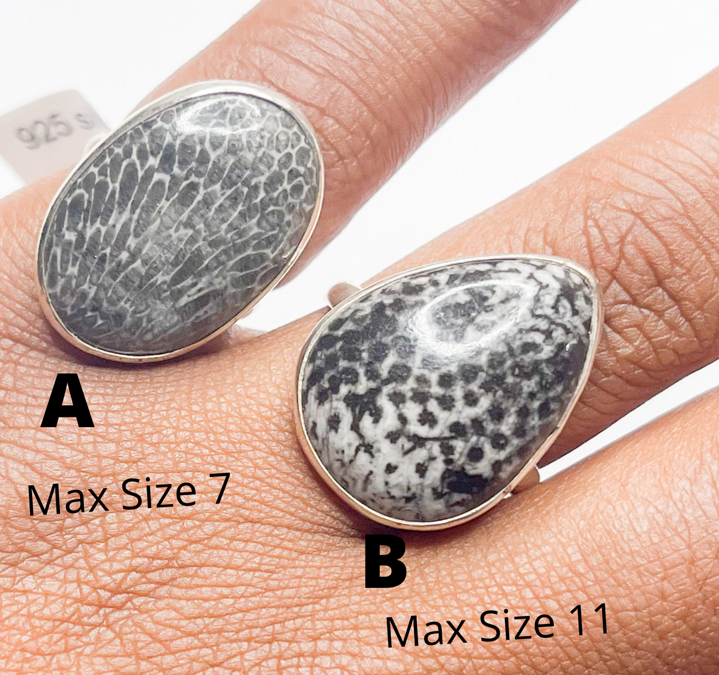 Dinosaur Ring Mix-Solid Sterling Silver