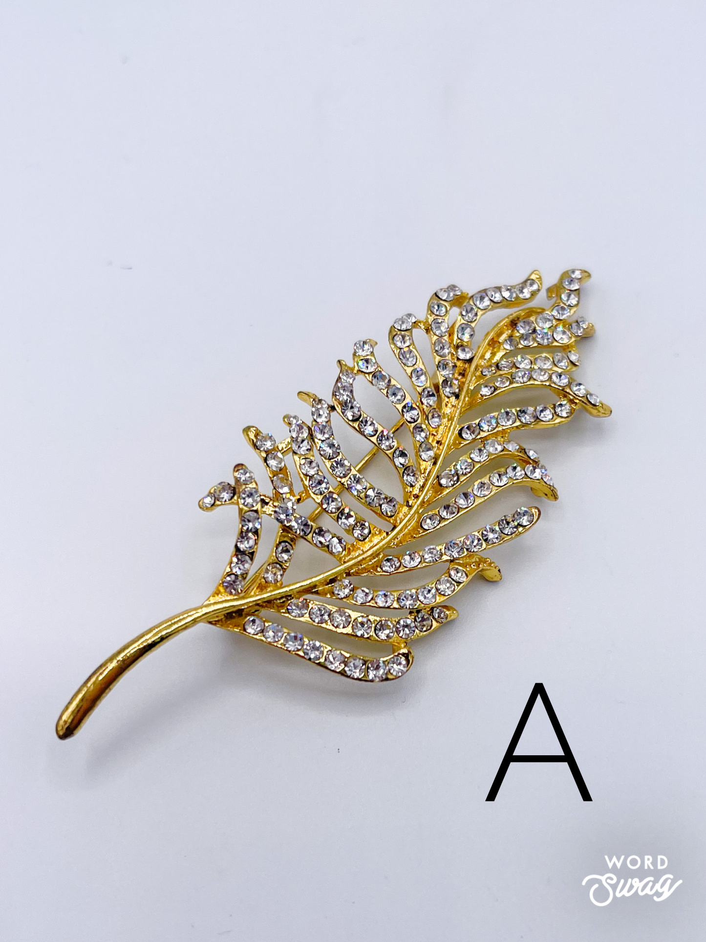 Stunning Brooch