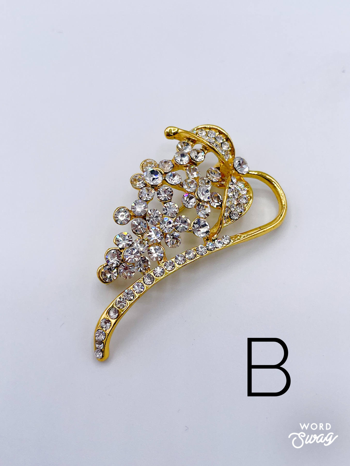 Stunning Brooch